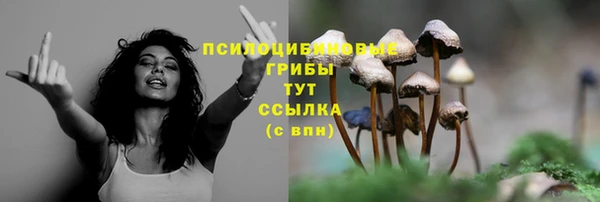 ALPHA-PVP Надым