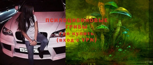 шишки Навашино
