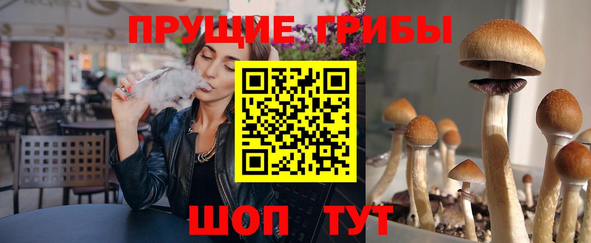 Псилоцибиновые грибы Psilocybe Рязань